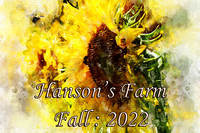 Hanson's Farm : Fall 2022 (9.2.22)