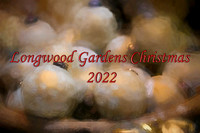 Longwood Gardens (2022) - 12.1.22 (Christmas)
