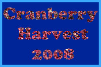 2008 Cranberry Harvest (Carver, MA) - 10.5.08