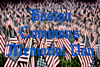 Boston Commons : Memorial Day 5.31.21