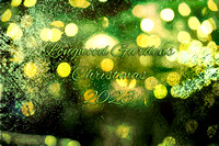 Longwood Gardens (2023) - 12.4.23 (Christmas)