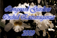 Longwood Gardens (2009)- 1.25.09