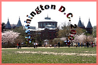 2006 Cherry Blossom Festival (Washington, D.C.) - 4.2.06