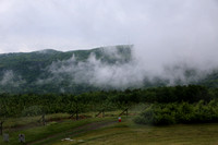 IMG_0090
