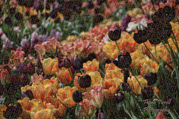 Spring TIme Mosaic 5