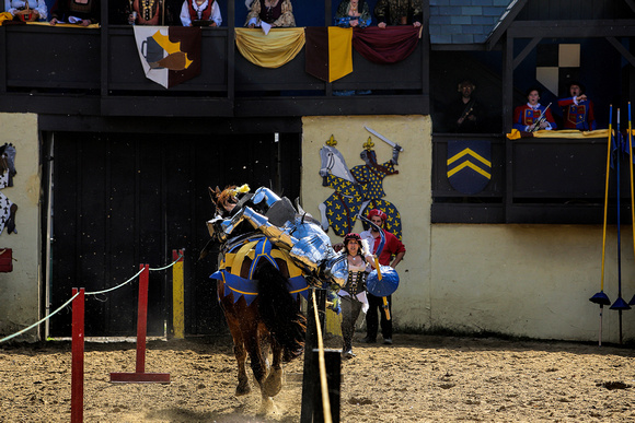 2014 Maryland Renaissnace Faire Photo Contest (Honorable Mention)