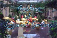 Longwood Gardens (2019) - 12.5.19 (Christmas)