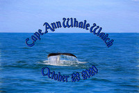 Cape Ann Whale Watch - Gloucester, MA  10.23.20