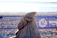 IMG_6161 td