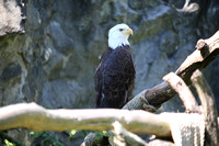 IMG_8617