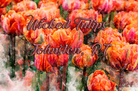 Wicked Tulips - Johnston RI 2024